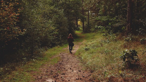 девушка в лесу. Лес, тропинка, грибы. Грибники. Заблудившиеся. Фото epicantus / pixabay.com