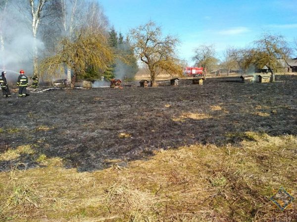 В Глубокском районе из-за пала травы сгорела баня и ульи. Фото МЧС