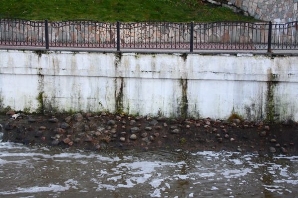 Вода сочится из железобетонной набережной в месте впадения Витьбы в Двину в Витебске. Фото Юрия Шепелева